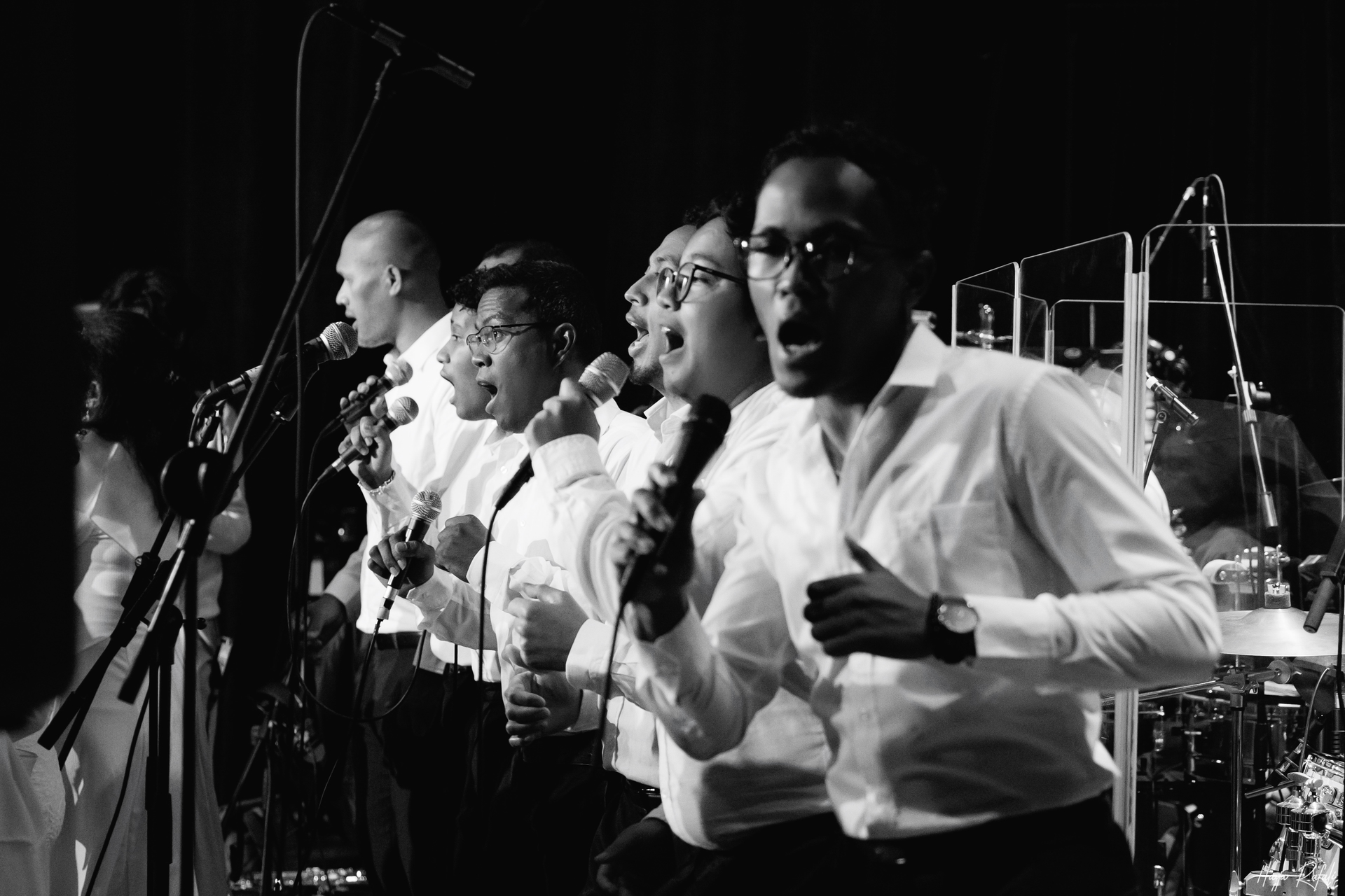 concerts/vatofehizoro
